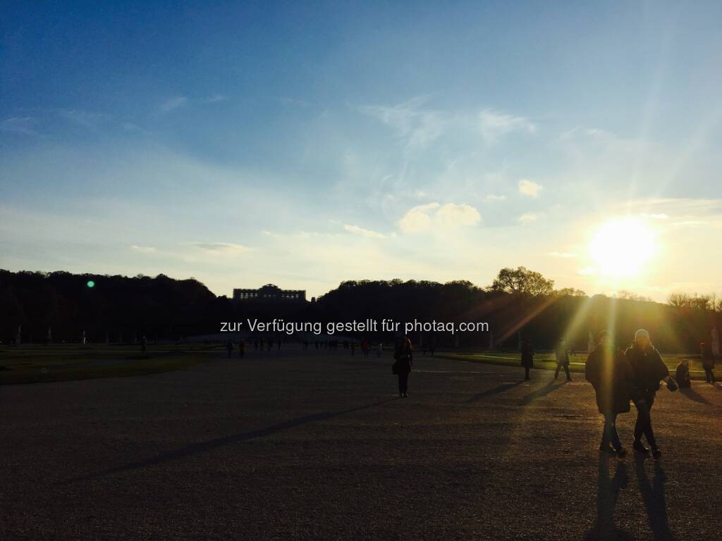 Sonne meets Schönbrunn (10.11.2016) 