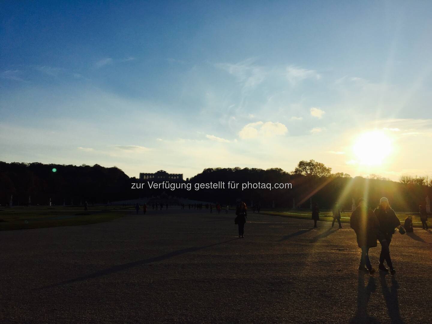 Sonne meets Schönbrunn