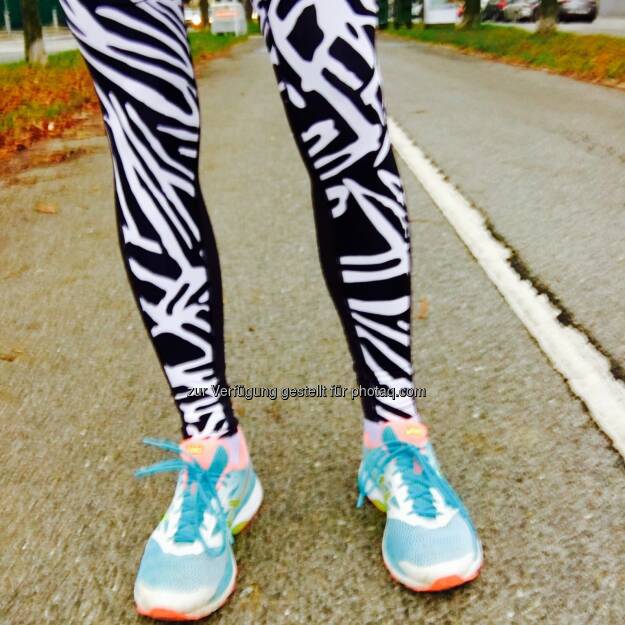 Mehr oder weniger vor der Haustür (12.11.2016)