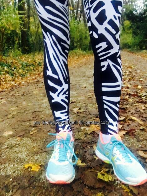 Schlosspark Schönbrunn (12.11.2016)