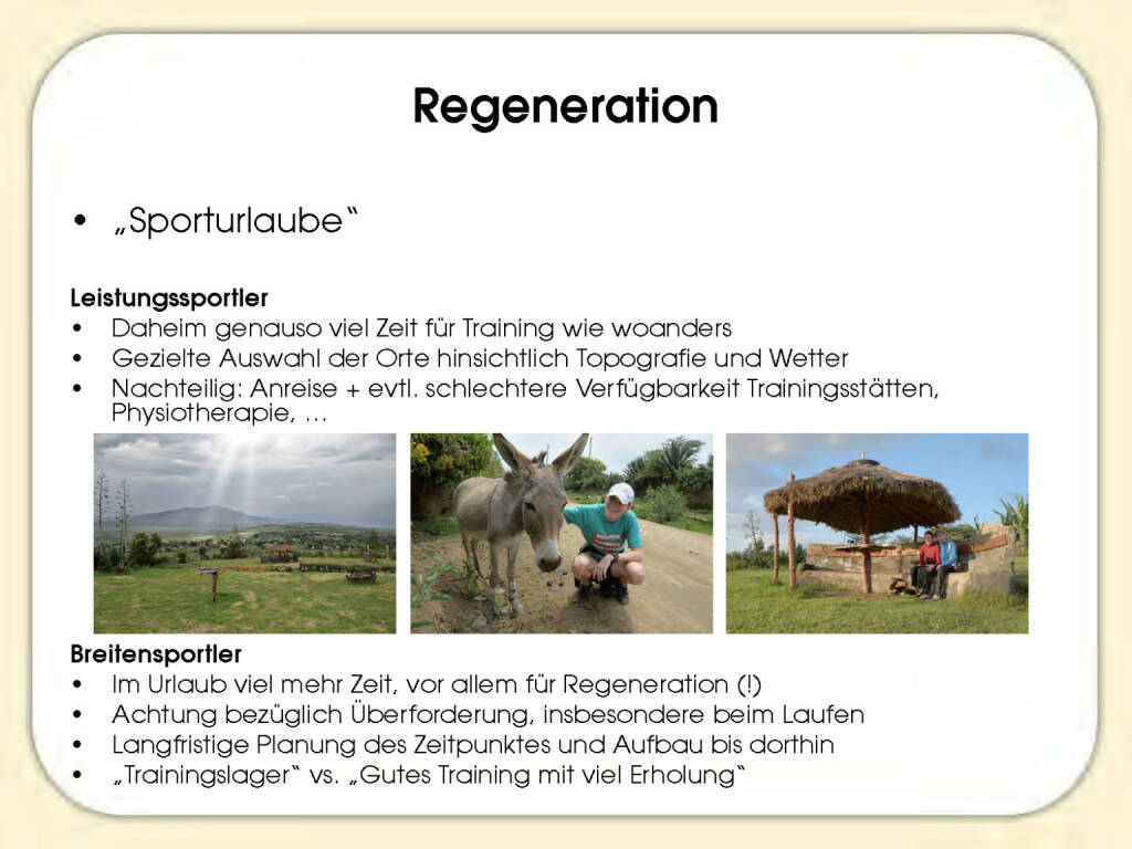 Regeneration - Sandrina Illes (15.11.2016) 