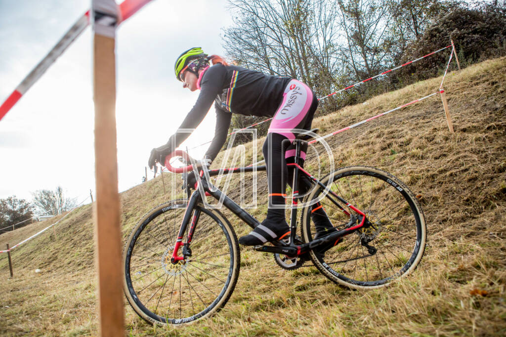 CX-Rennen Steinspornbrücke, © Martina Draper (19.11.2016) 