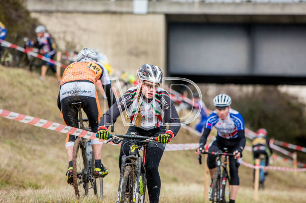 CX-Rennen Steinspornbrücke, © Martina Draper (19.11.2016) 