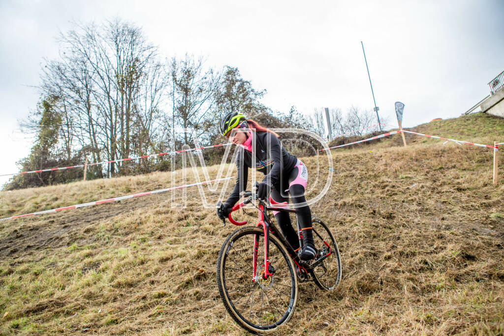 CX-Rennen Steinspornbrücke, © Martina Draper (19.11.2016) 