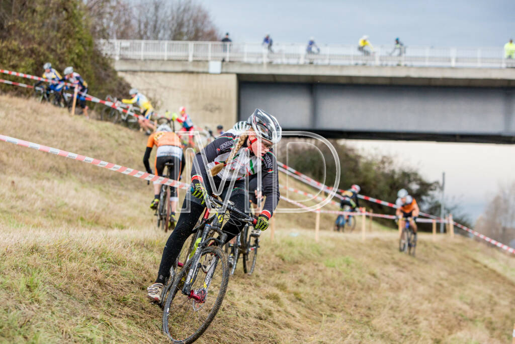 CX-Rennen Steinspornbrücke, © Martina Draper (19.11.2016) 