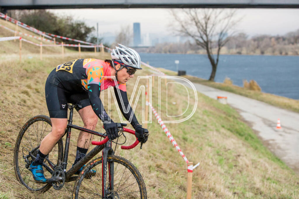 CX-Rennen Steinspornbrücke, © Martina Draper (19.11.2016) 