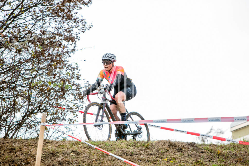 CX-Rennen Steinspornbrücke, © Martina Draper (19.11.2016) 