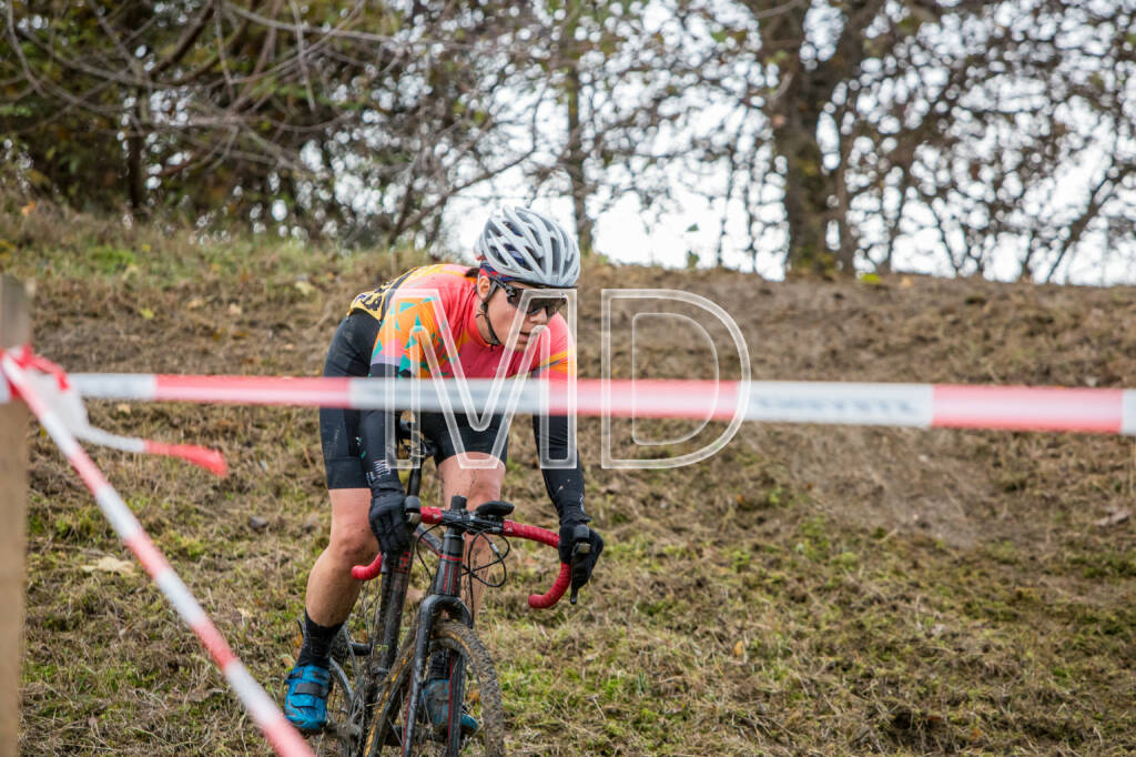 CX-Rennen Steinspornbrücke, © Martina Draper (19.11.2016) 