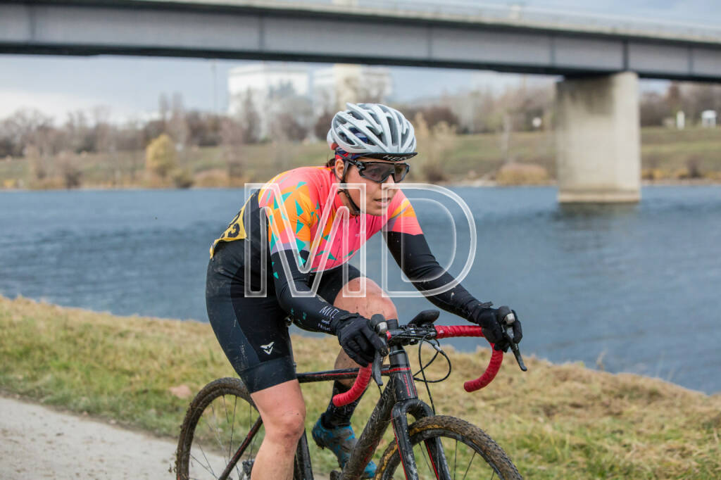 CX-Rennen Steinspornbrücke, © Martina Draper (19.11.2016) 