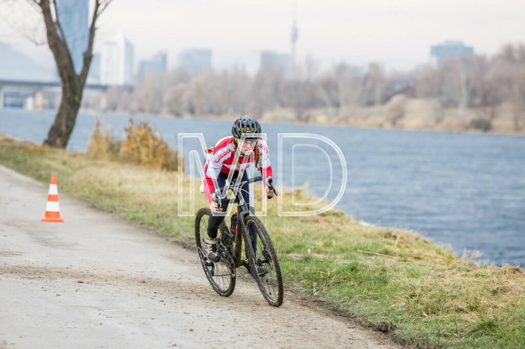 CX-Rennen Steinspornbrücke, © Martina Draper (19.11.2016) 