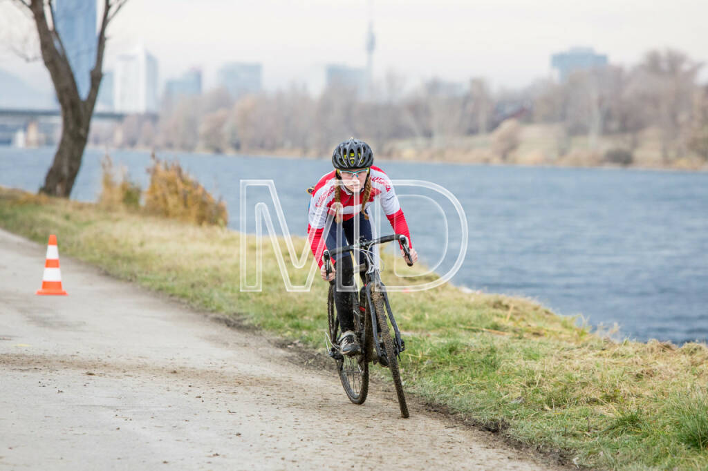 CX-Rennen Steinspornbrücke, © Martina Draper (19.11.2016) 