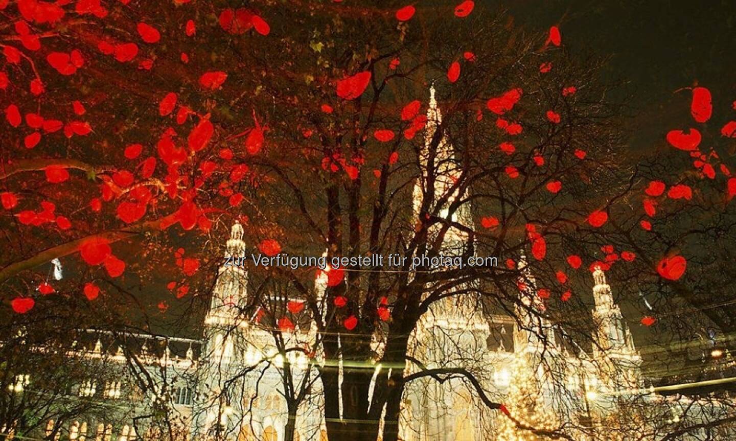 Herzerlbaum am Wiener Rathausplatz (Bild: Karl Thomas/Stadt Wien Marketing)