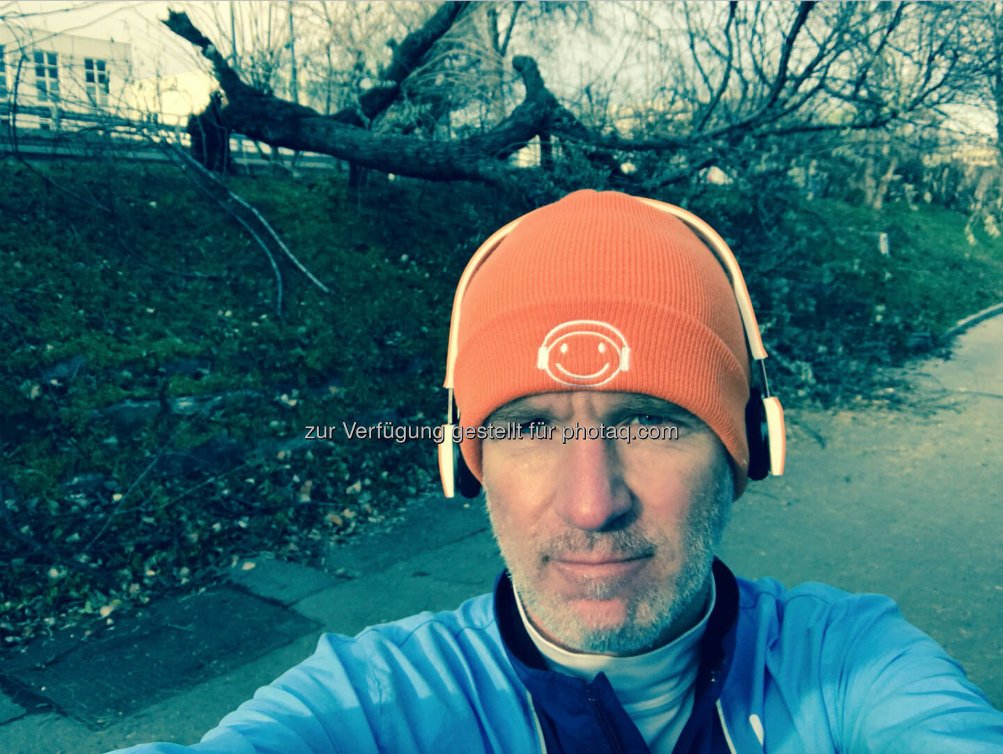 Umgestürzter Baum Donaukanal