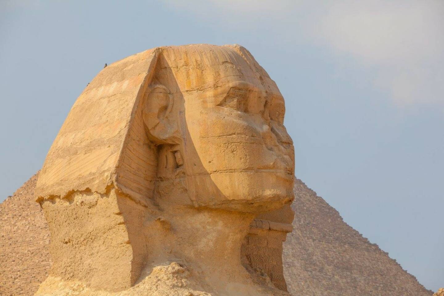 Sphinx