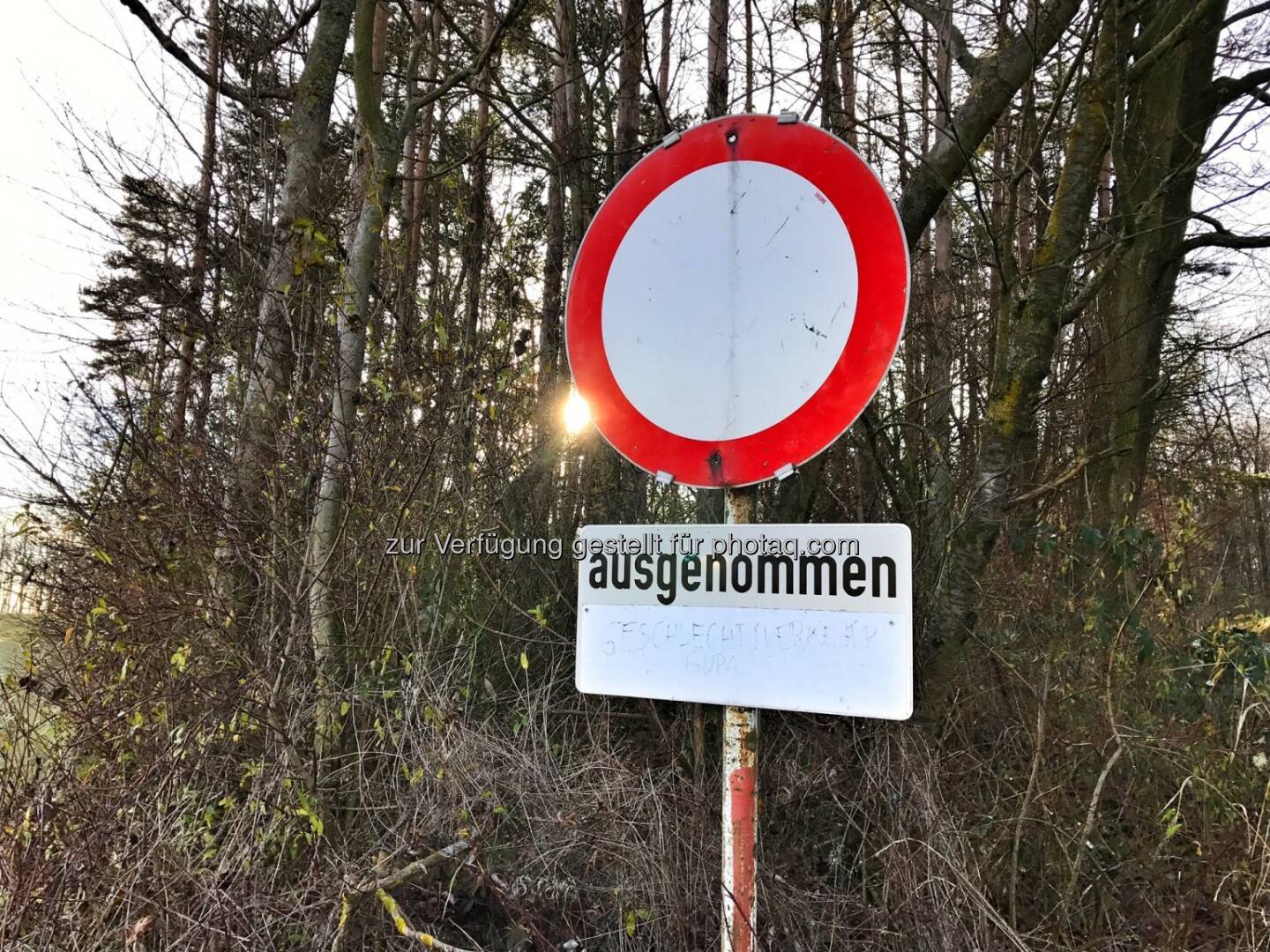 ausgenommen Geschlechtsverkehr