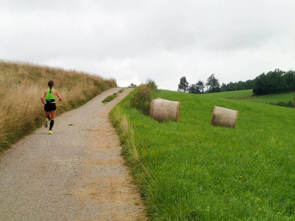 Carola Bendl-Tschiedel Nominierung - mein Sportschnappschuss des Jahres 2016: Unterwegs bei meinem Geburtstagslauf.
53 km mit Freunden rund um den Lainzer Tiergarten und anschließend U4U4 von Hütteldorf nach Heiligenstadt.
Das Bild zeigt den Anstieg auf die Sofienalpe, nach ca. 36 Kilometern. In der Laufeuphorie und im Plaudern mit Jean-Marie Welbes, von dem auch dieses Foto stammt, bin ich kurz mal ein bisschen schneller geworden. Ein perfekter Geburtstag - - Voten und/oder auch sich selbst nominieren unter http://www.facebook.com/groups/Sportsblogged (31.12.2016) 