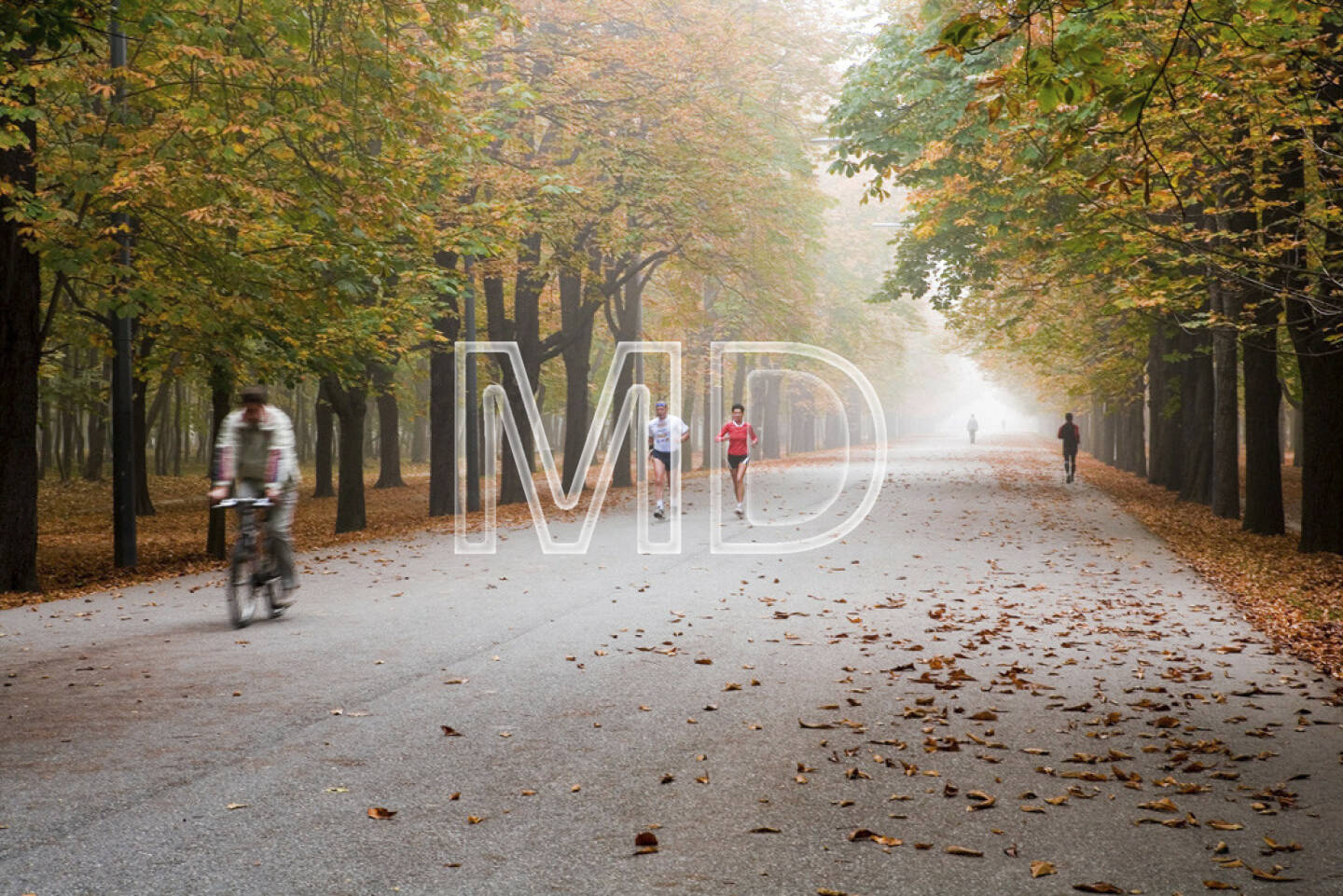 Hauptallee im Herbst, Wien