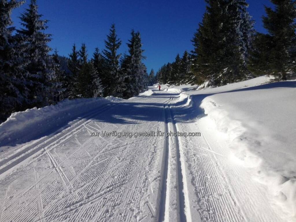 Spur Langlaufen Loipe (22.01.2017)