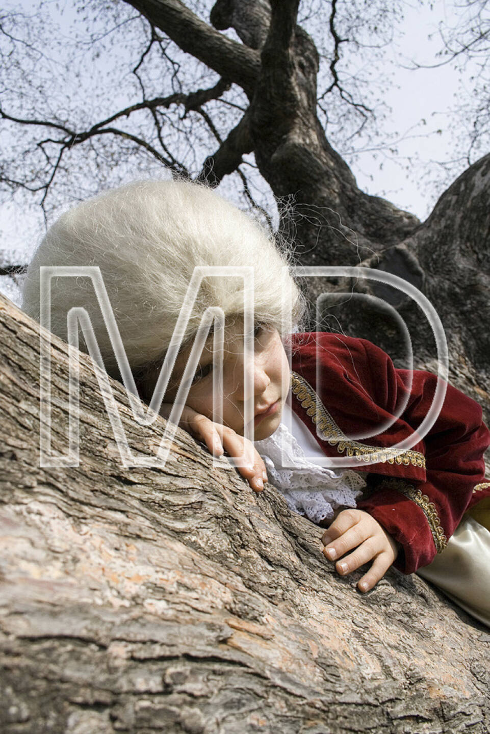 Mozart am Baum