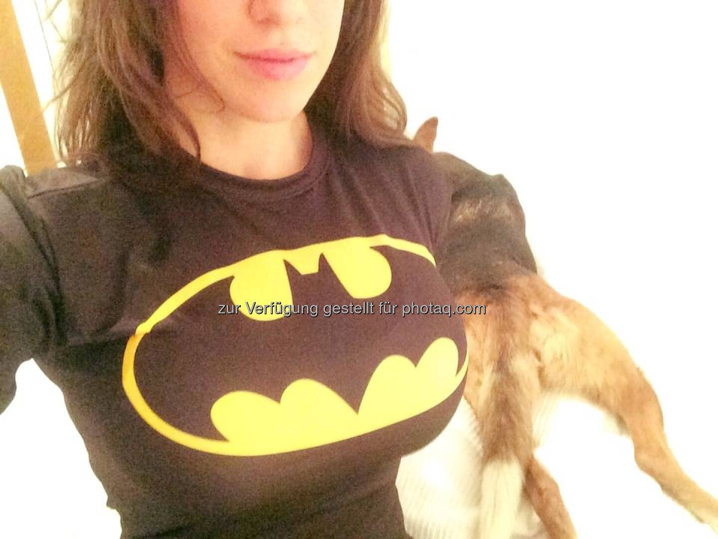 Batman Carina