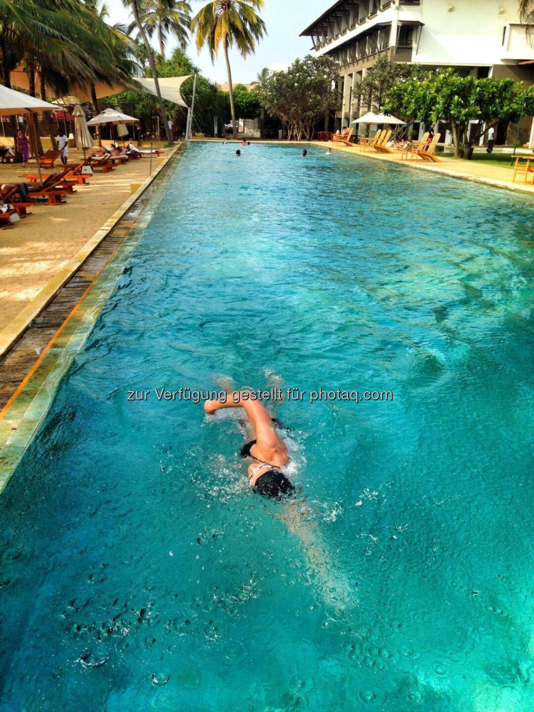 , schwimmen, Pool, Sri Lanka