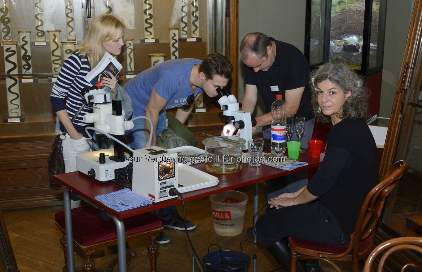 Naturhistorisches Museum: Citizen Science Day am 4. März 2017 im NHM Wien (Fotocredit: NHM Wien, Kurt Kracher)