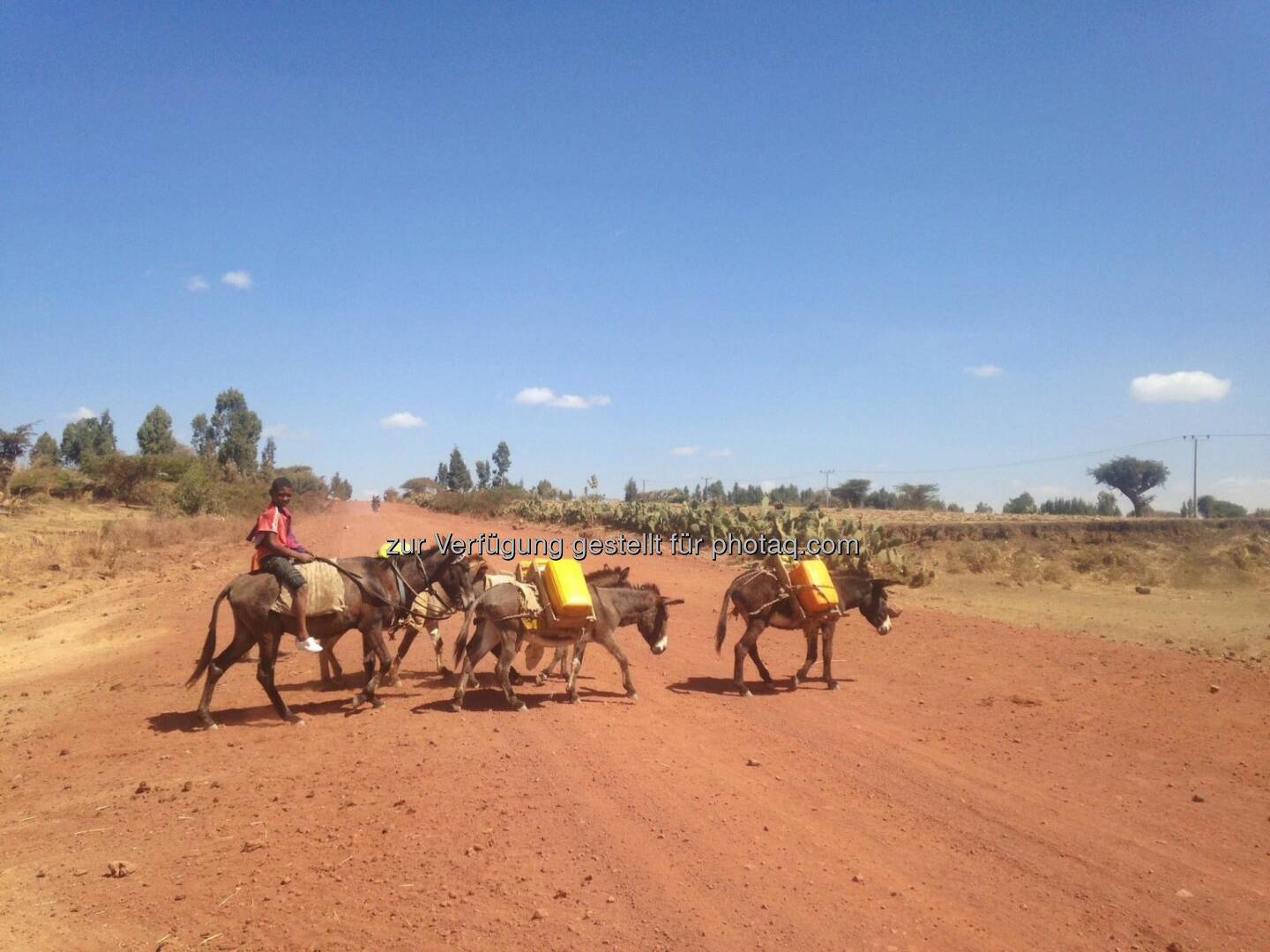 Esel, Karawane, Äthiopien