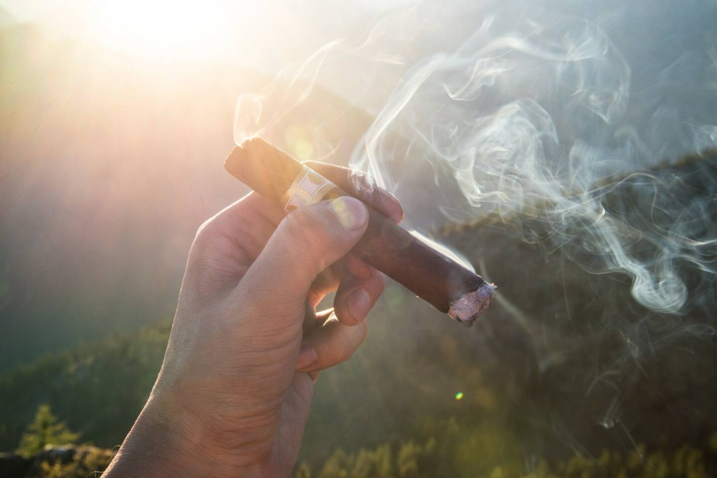 Rauchen, Zigarre, Relax, Relaxen, Entspannen, Reich (Bild: Pixabay/Pexels https://pixabay.com/de/zigarren-zigarette-rauchen-raucher-1281672/ )