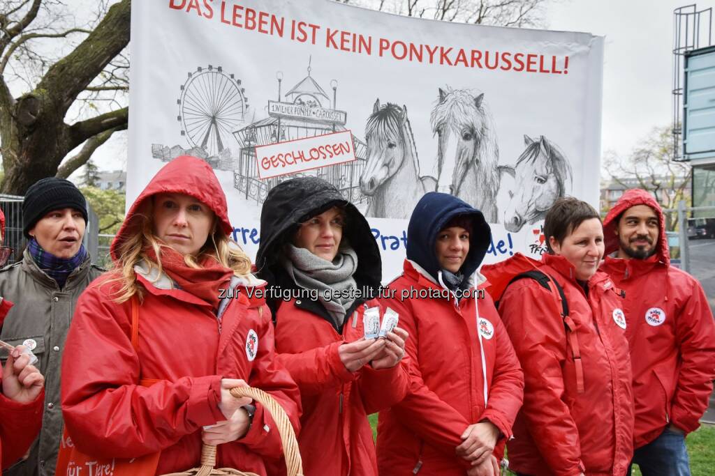 Die VIER PFOTEN Mitrbeiter trotzten dem schlechten Wetter und protestierten gegen den weiteren Einsatz der ehemaligen Ponykarussell-Pferde auf der Reitbahn - VIER PFOTEN: VIER PFOTEN lässt Prater-Ponys nicht im Stich (Fotocredit: VIER PFOTEN), © Aussender (02.05.2017) 