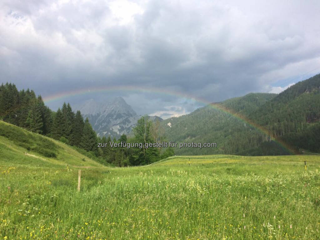 Regenbogen (03.06.2017) 