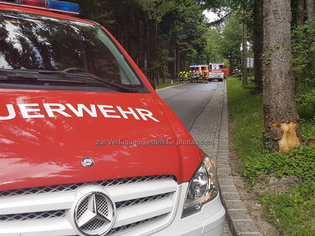 Feuerwehr (15.06.2017) 