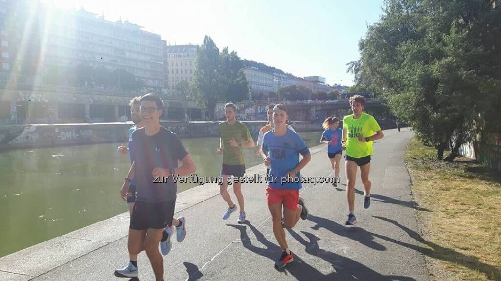 RunInc. Donaukanal (19.06.2017) 