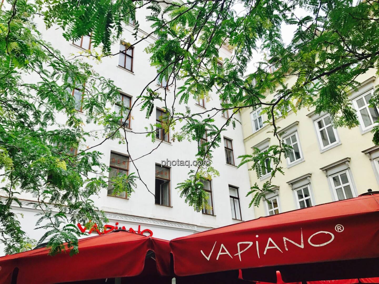 Vapiano rot, Baum grün