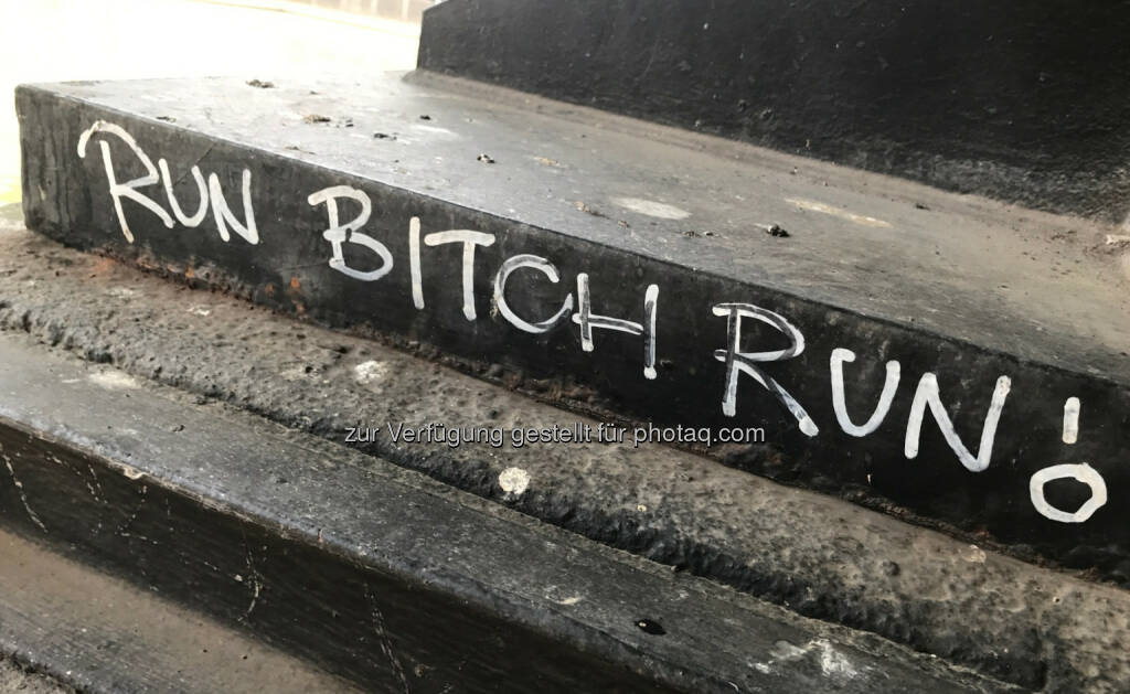 Run Bitch Run (10.07.2017) 