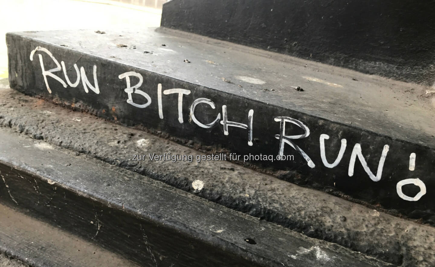 Run Bitch Run