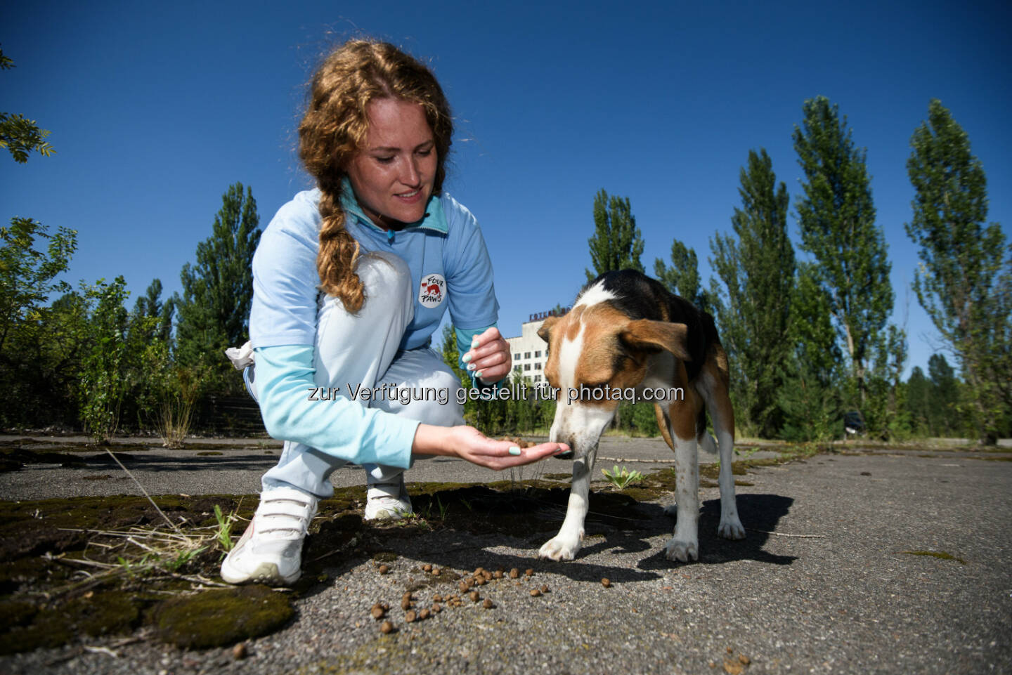 Alesya Lischyshyna von VIER PFOTEN Ukraine beim Füttern eines Streunerhundes - VIER PFOTEN: Die vergessenen Hunde von Tschernobyl (Fotograf: Tomas Halasz / Fotocredit: VIER PFOTEN)
