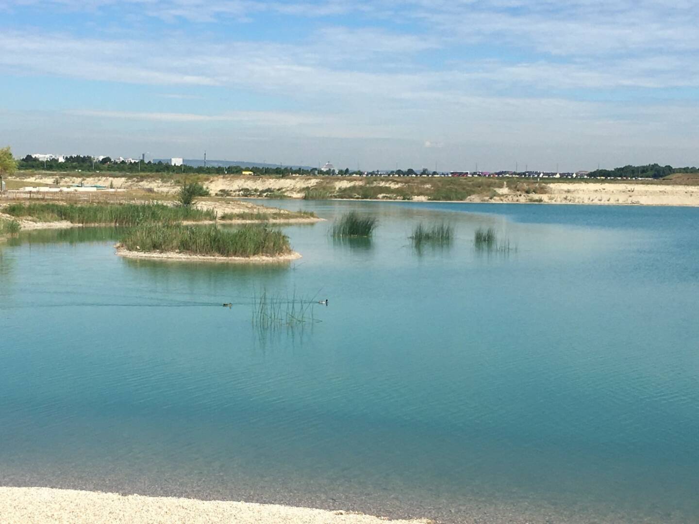 Wasser, See, Seestadt Aspern, Donaustadt