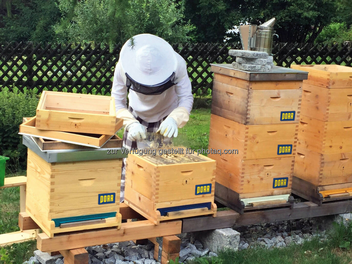 Porr mit Bienen-Initiative bee@PORR, Bild: Porr