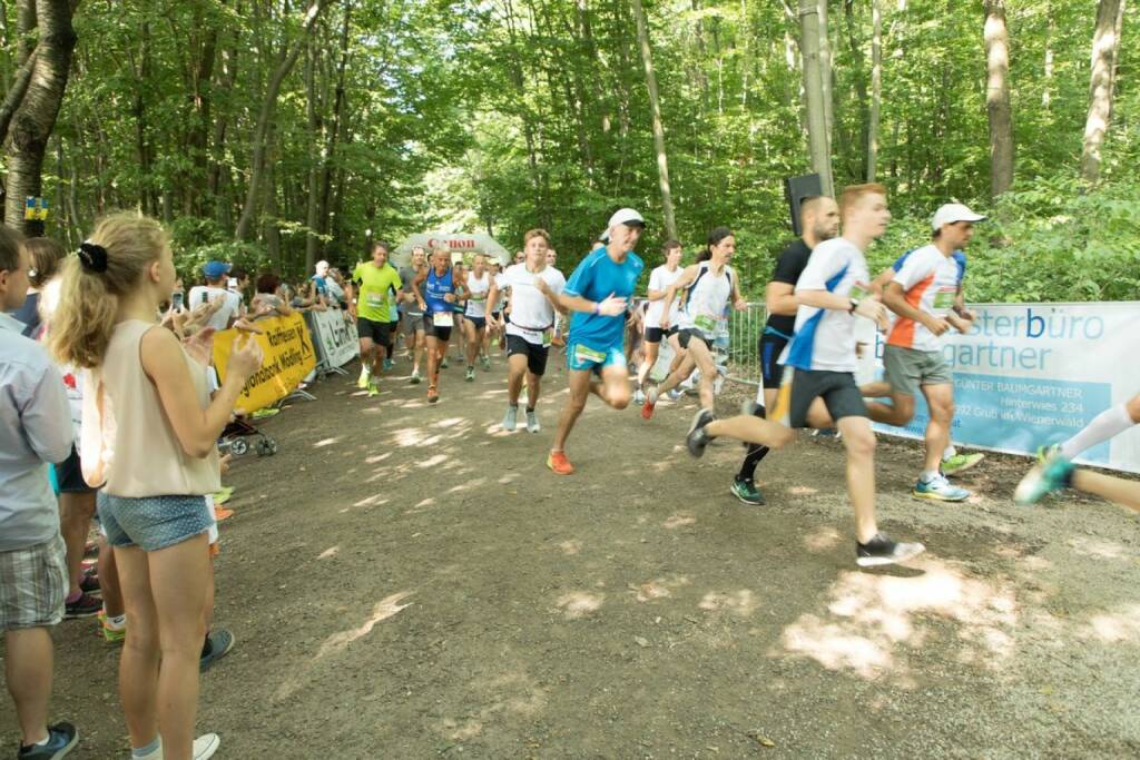 Wienerwaldlauf 2017 (05.09.2017) 