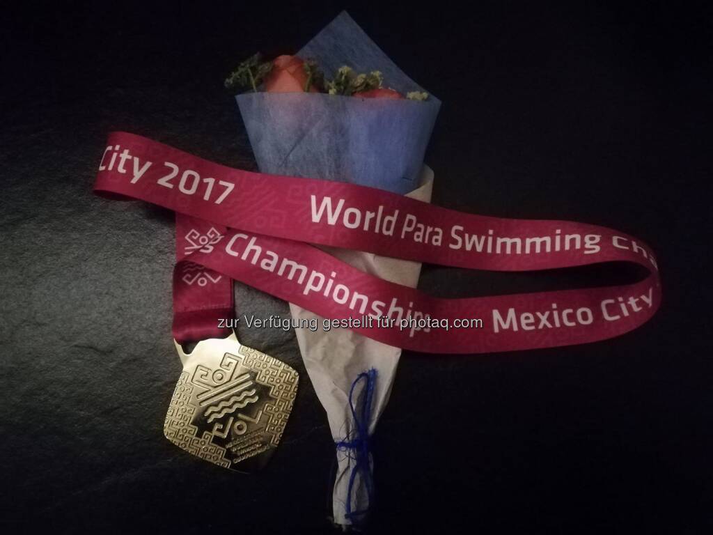 Sabine Weber-Treiber (08.12.2017)