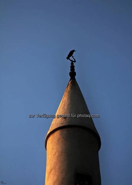 Minarett, Krähe; Türkei, Istanbul, © Herlinde Wagner (02.06.2013) 