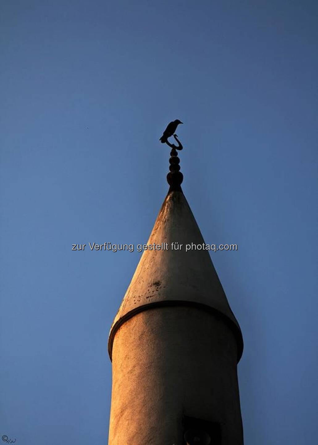 Minarett, Krähe; Türkei, Istanbul