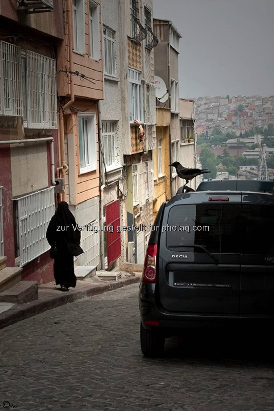 Frau, Auto, Krähe; Türkei, Istanbul