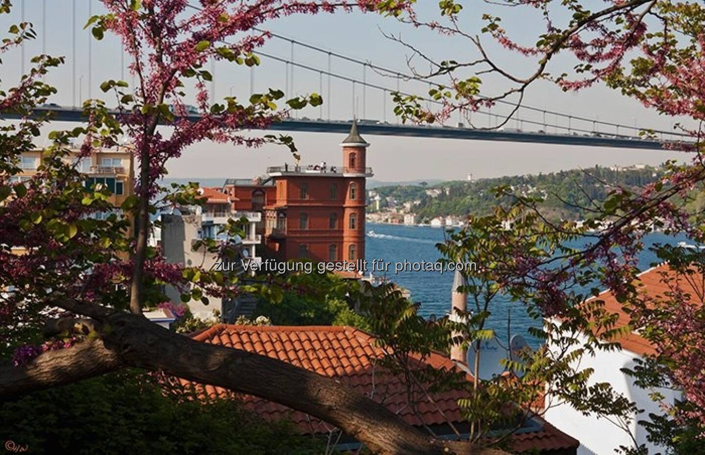 Häuser, Bosporus, Brücke; Türkei, Istanbul