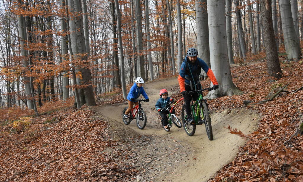 Die erste Crowdfundingkampagne Österreichs zur Finanzierung einer Mountainbikestrecke erfährt guten Zuspruch; Fotocredit:Trail-Affairs, © Aussendung (16.02.2018) 