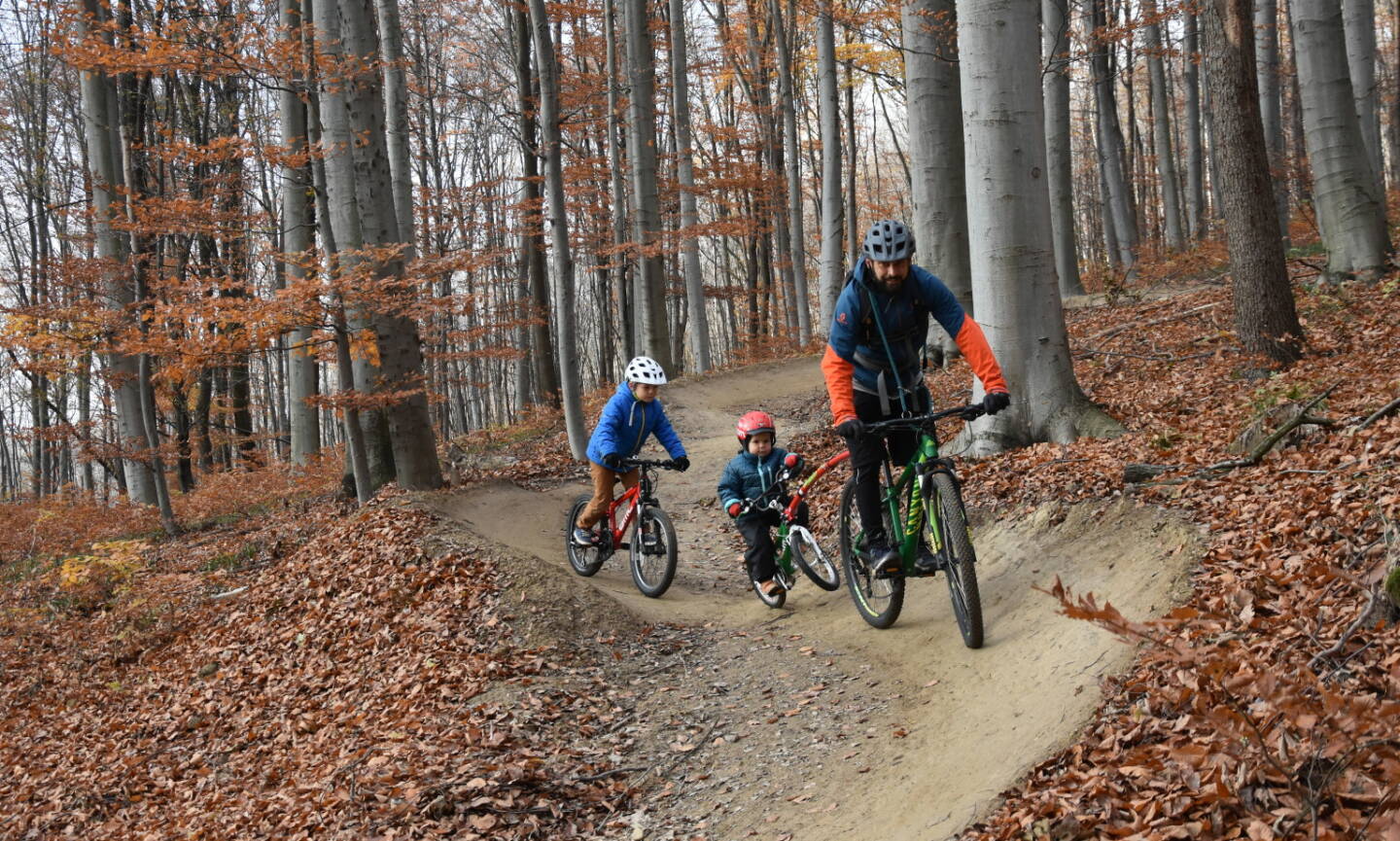 Die erste Crowdfundingkampagne Österreichs zur Finanzierung einer Mountainbikestrecke erfährt guten Zuspruch; Fotocredit:Trail-Affairs