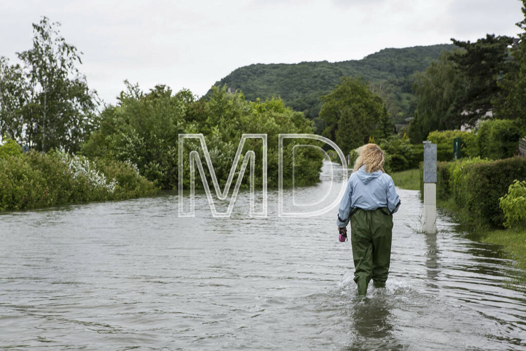 Hochwasser, Greifenstein, Frau, © Martina Draper (03.06.2013) 