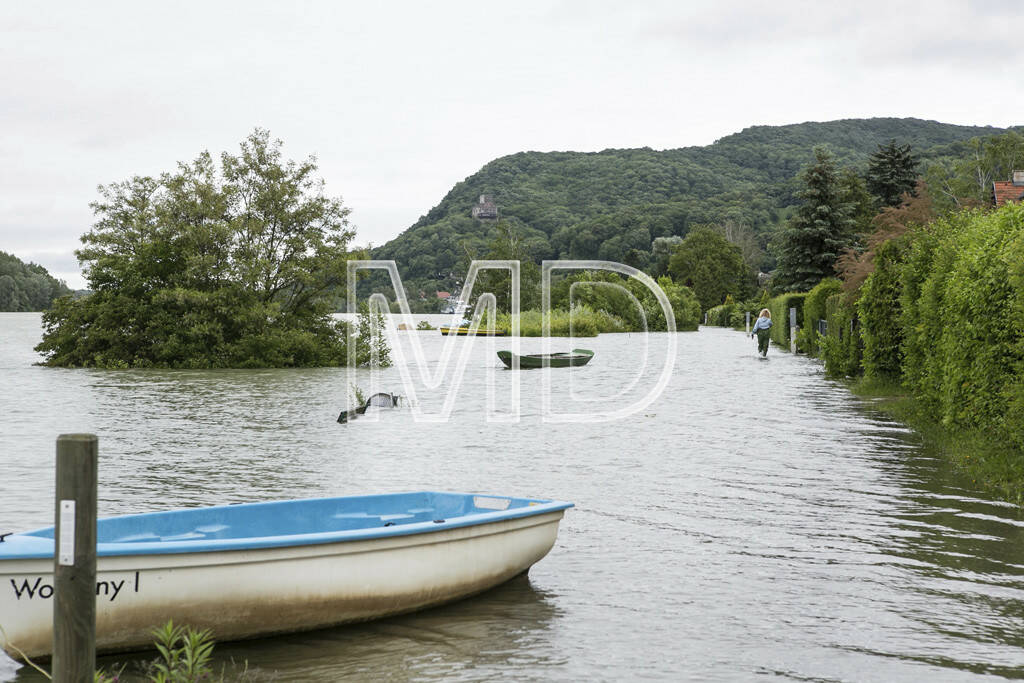 Hochwasser, Greifenstein, Boot, © Martina Draper (03.06.2013) 