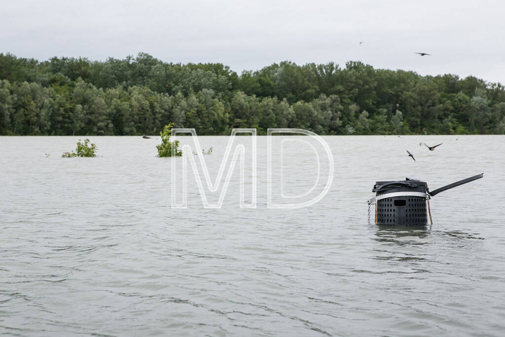 Hochwasser, Greifenstein, Mistkübel, © Martina Draper (03.06.2013) 