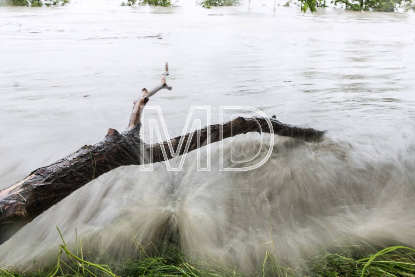 Hochwasser, Greifenstein, Ast